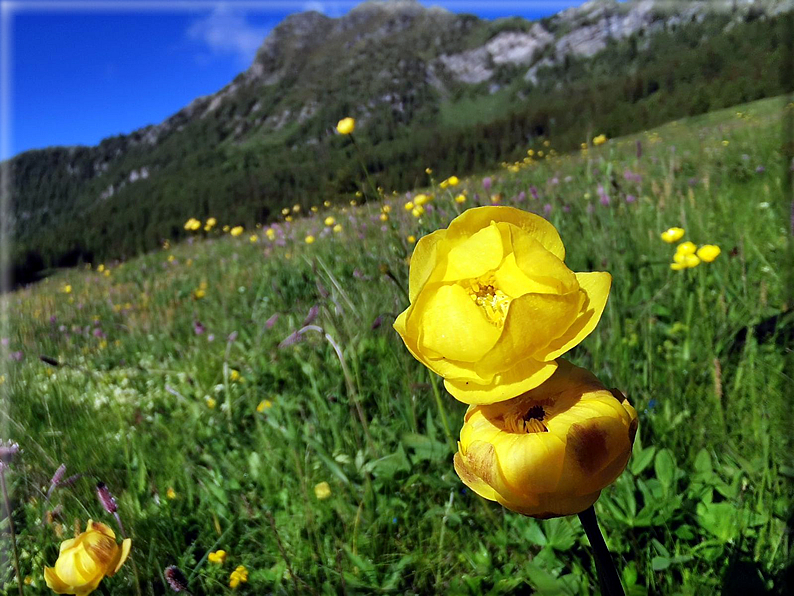 foto Anticima del Monte Meabe
